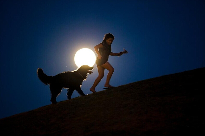 当地时间2014年8月10日，西班牙马德里，女孩牵着狗狗在超级月亮照耀下漫步。